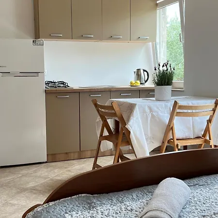 The Olive Tree Apartment